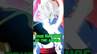 True Nature Of Angels In dragon ball universe||