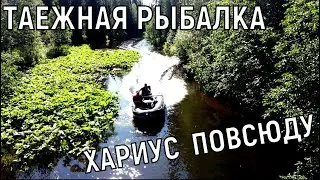 РЫБАЛКА .ХАРИУС ПО ВСЕЙ РЕКЕ! SOLAR 470/TOHA 50 2T/3ЧАСТЬ