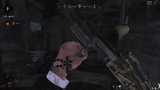 Alice Farm Battle. Hunt: Showdown.