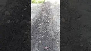 Пробую копати #т25 #трактор