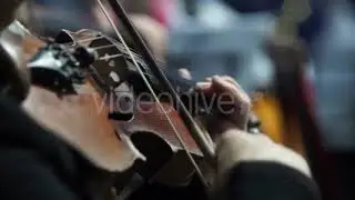 Musician's Hands On a Violin In An Orchestra | Stock Footage
