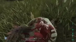 Ark Survival w/Superman