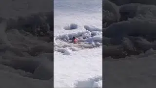 11 сентября 2024 г.