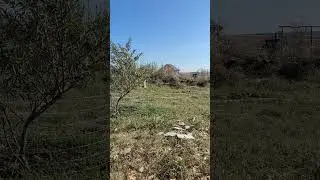 Сила ведьмы и ведуна. Набор силы