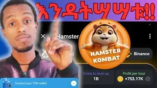 Hamster Kombat ብዙ ገንዘብ የምትሰሩበት strategy | መሸጥ የምንችለው መቼ ነው?