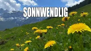 Was ist „Sonnwendlig