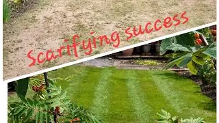 Scarifying SUCCESS...One of our new contracts