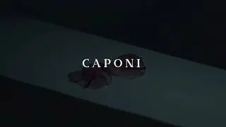 Caponi sunglasses