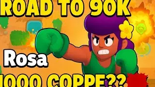 Brawl ma con la voce (🔥ROAD TO 90K – ROSA a quasi 1000 COPPE! 💪 | Partite intense e finali epici!)