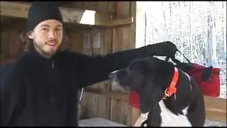 2000 Miles to Maine on the Appalachian Trail