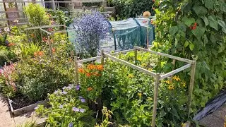 086-Looking Around The Garden (19)-10th October 2023