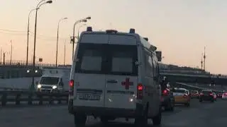 Тишина… 🤫