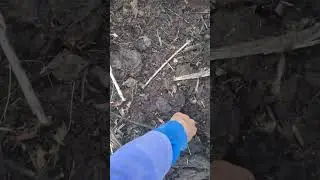 Found a 