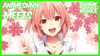 Animeshnik Meets (Ответ Вопрос)
