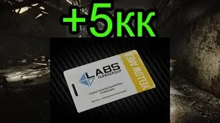 Новичкам везёт | Escape from Tarkov