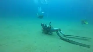 Boring DIVE at Honlolula Bay - Maui, Hawaii :)