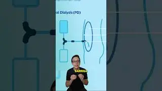 Diálise Peritoneal😱