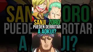 Zoro y Sanji si luchan juntos le ganan a Aokiji? #yonko #anime #onepiece #zoro #sanji #aokiji #luffy