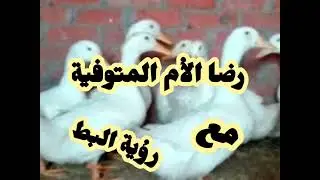 البط في المنام و رضا الأم المتوفية