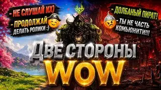 ОФА vs ПИРАТКИ: Кто токсичнее в WoW? — Подробный разбор и ответ стримерам.