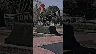Гуляем:3