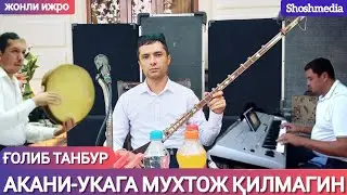 Ғолиб танбур 