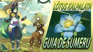 Lotus Kalpalata Rota Genshin Impact