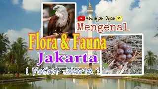 Flora dan Fauna Jakarta ( Maskot Jakarta ) | Sejarah Jakarta