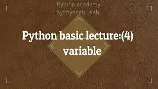how to assign variables in python