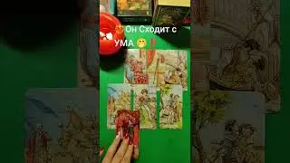 ❤️‍🔥Он Сходит с УМА 🤭⁉️ #shorts