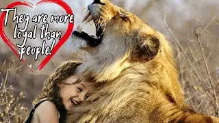 ❤️‍🔥THEY ARE MORE LOYAL THAN PEOPLE! These animals meeting their owners after years!