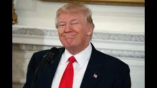 How Trump got some of his ideas