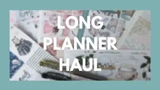 PLANNER HAUL // Stickers & Supplies!