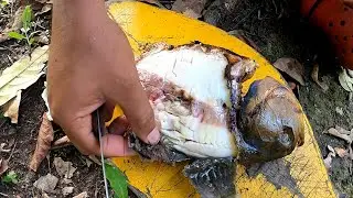 PESCA CON ATARRAYA COCINA IMPROVISADA Y UN BUEN ASADO
