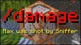 Minecraft - How To Use The Damage Command (Java)
