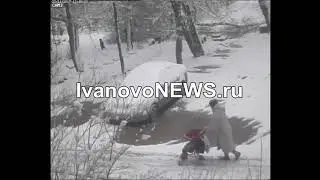 В Иванове дерево упало на женщину с ребенком