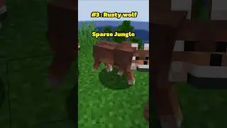 Where to find each New Wolf in Minecraft!