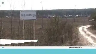 Артистка цирка привезла в Рузский район леопардов