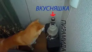 Возьми 