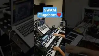 SWAM Instruments Flugehorn @audiomodeling 
