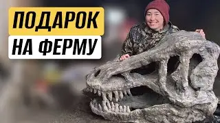НОВИНКА НА КУХНЕ: давно этого хотели!
