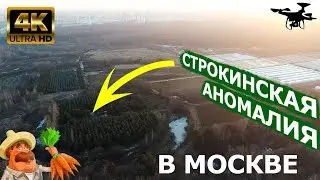 Строкинская Аномалия в Москве