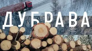 ДУБРАВА | Лесозаготовительный комплекс