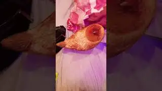 Попал В Больницу