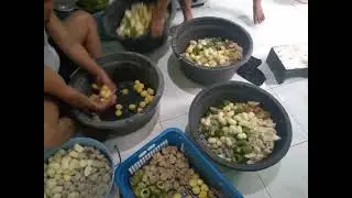 berusaha#sultan