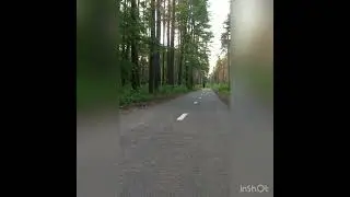 Дуалтрон Раптор.  Белгород пикник парк.