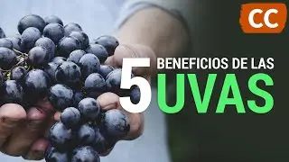 5 Benefits of Grapes | Food Science
