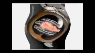KlaskyKlaskyKlaskyKlasky Gummy Bear In G Major 25 In ArthurRosendos G Major 1