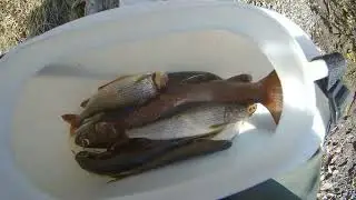 Осенняя рыбалка на реке Ульбинка.