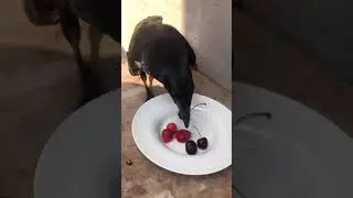 Хочу все и сразу!!🤪